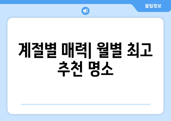 계절별 매력| 월별 최고 추천 명소