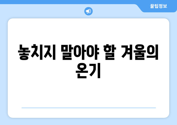 놓치지 말아야 할 겨울의 온기