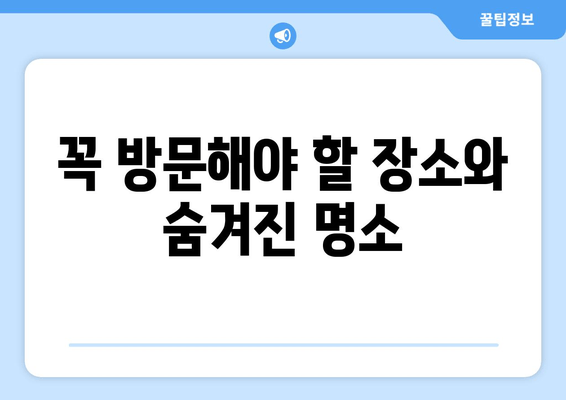 꼭 방문해야 할 장소와 숨겨진 명소