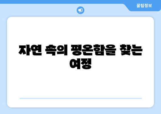 자연 속의 평온함을 찾는 여정