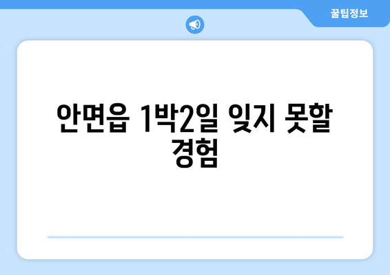 안면읍 1박2일 잊지 못할 경험