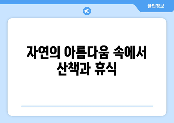 자연의 아름다움 속에서 산책과 휴식