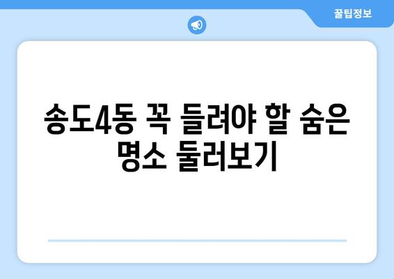 송도4동 꼭 들려야 할 숨은 명소 둘러보기