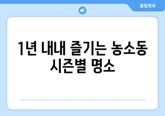 1년 내내 즐기는 농소동 시즌별 명소