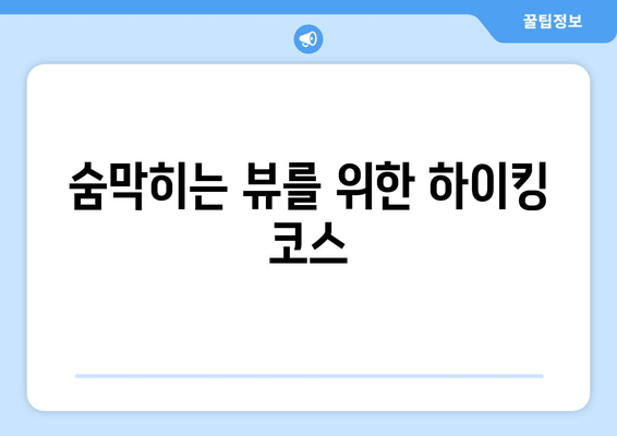 숨막히는 뷰를 위한 하이킹 코스