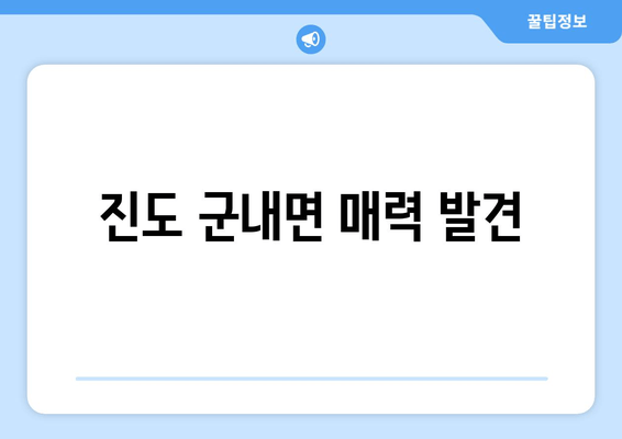 진도 군내면 매력 발견