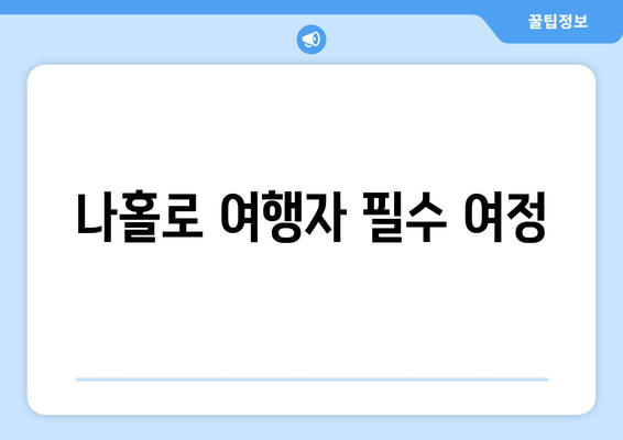 나홀로 여행자 필수 여정