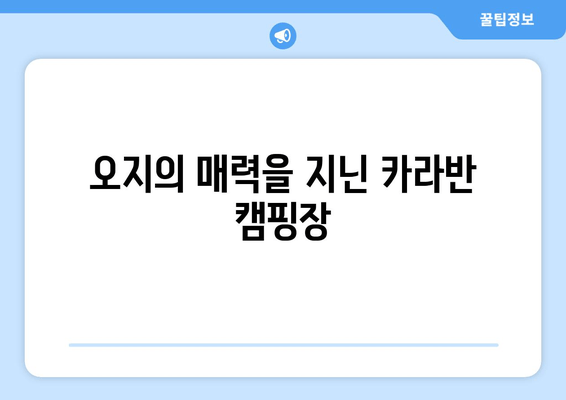 오지의 매력을 지닌 카라반 캠핑장