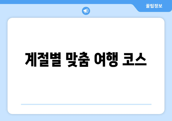 계절별 맞춤 여행 코스