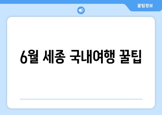 6월 세종 국내여행 꿀팁