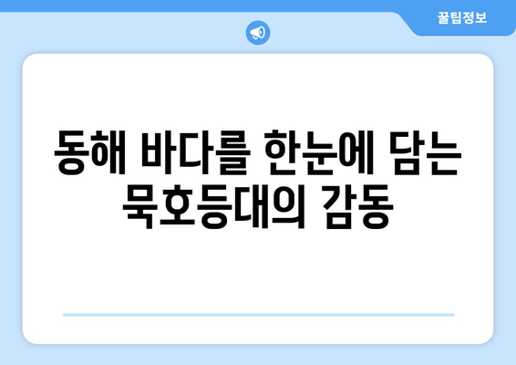 동해시 여행 필수 코스| 논골담길과 묵호등대, 숨겨진 매력을 찾아 떠나요! | 동해 가볼만한곳, 동해 여행, 논골담길, 묵호등대