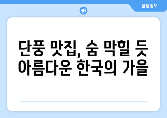 가을 단풍나무의 숨 막힐 듯한 아름다움| 한국의 단풍 명소 10곳 | 단풍 여행, 가을 여행, 국내 여행, 단풍 명소 추천