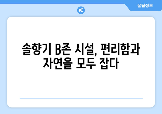 솔향기 캠핑장 B존 완벽 가이드| 시설부터 꿀팁까지 | 캠핑장 추천, B존 정보, 솔향기 캠핑