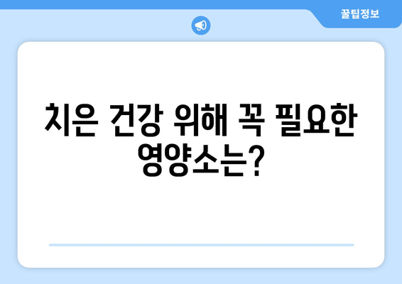 치은 건강을 위한 영양제| 건강한 치아와 잇몸을 위한 선택 가이드 | 치은염, 잇몸 질환, 영양 보충제, 건강 팁