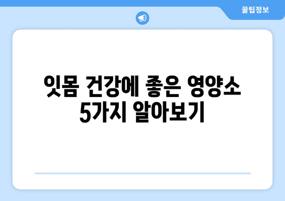 잇몸 건강 지키는 영양제 5가지 | 치아 건강에 필수적인 잇몸 관리 영양제, 잇몸 건강, 치주 질환 예방