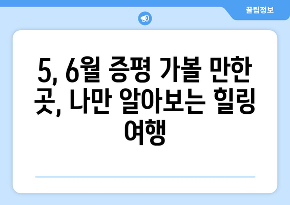 5, 6월 증평 가볼 만한 곳, 나만 알아보는 힐링 여행