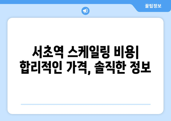 서초역 스케일링 치료| 시작부터 완료까지 | 치과 추천, 비용, 후기, 예약