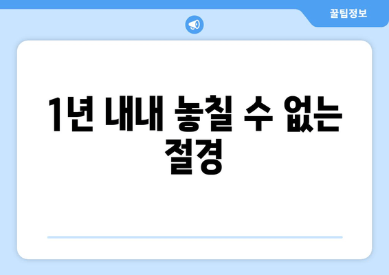 1년 내내 놓칠 수 없는 절경