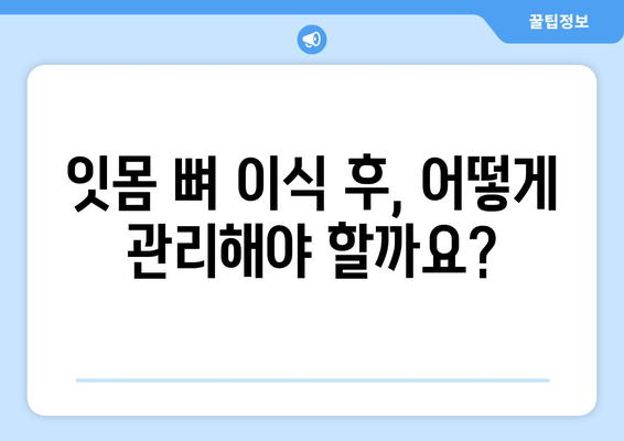 잇몸 뼈 이식 비용| 충분한 잇몸 뼈를 위한 필수 수술 | 잇몸 이식 가격, 잇몸 뼈 이식 과정, 잇몸 뼈 이식 후 관리