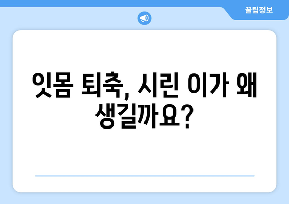 잇몸이 내려앉아 시린 이유| 원인과 해결책 | 잇몸 퇴축, 치아 시림, 치주 질환