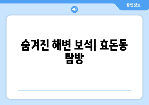 숨겨진 해변 보석| 효돈동 탐방