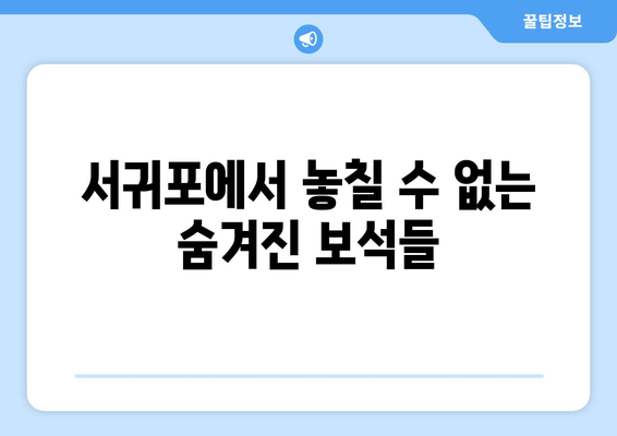 서귀포에서 놓칠 수 없는 숨겨진 보석들