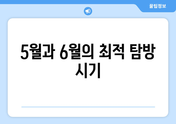 5월과 6월의 최적 탐방 시기