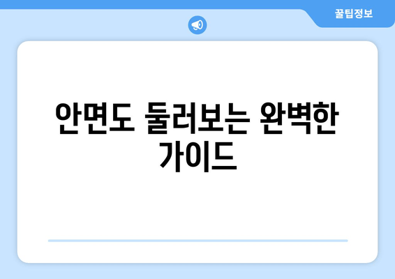 안면도 둘러보는 완벽한 가이드