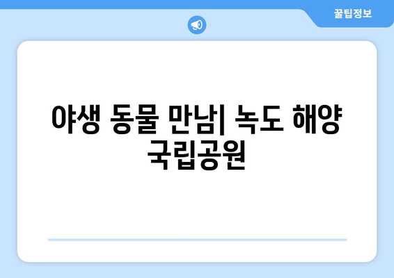 야생 동물 만남| 녹도 해양 국립공원