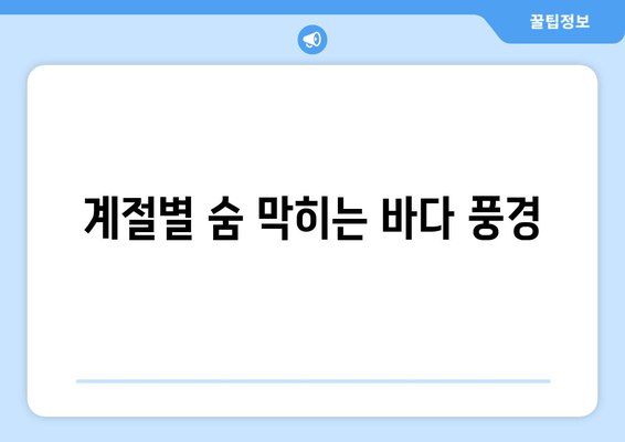 계절별 숨 막히는 바다 풍경