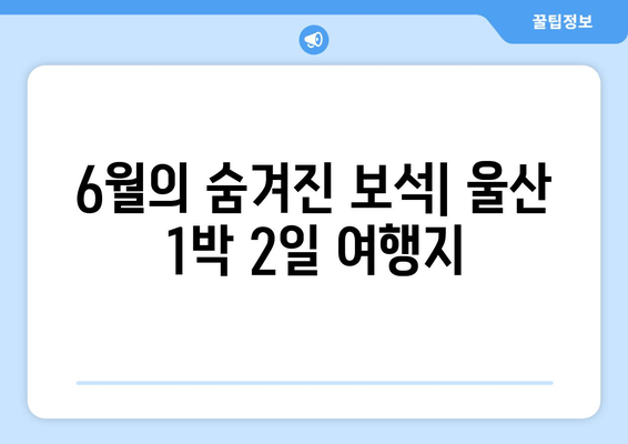 6월의 숨겨진 보석| 울산 1박 2일 여행지