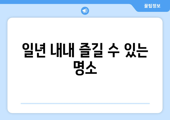 일년 내내 즐길 수 있는 명소