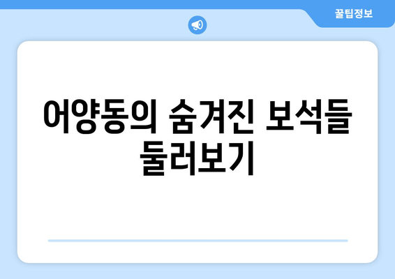 어양동의 숨겨진 보석들 둘러보기