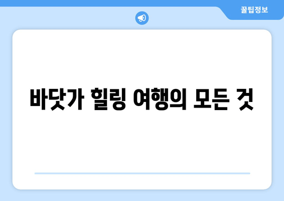 바닷가 힐링 여행의 모든 것