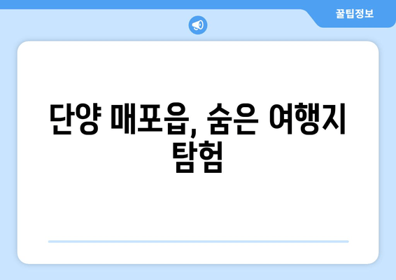 단양 매포읍, 숨은 여행지 탐험