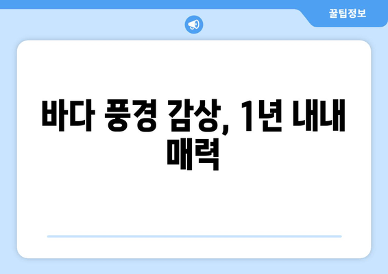 바다 풍경 감상, 1년 내내 매력