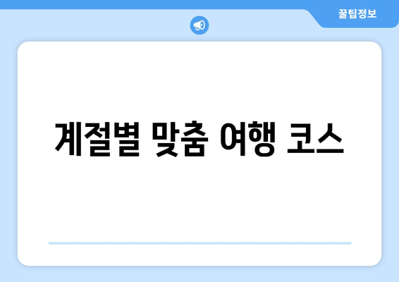 계절별 맞춤 여행 코스