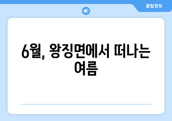 6월, 왕징면에서 떠나는 여름