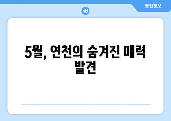 5월, 연천의 숨겨진 매력 발견