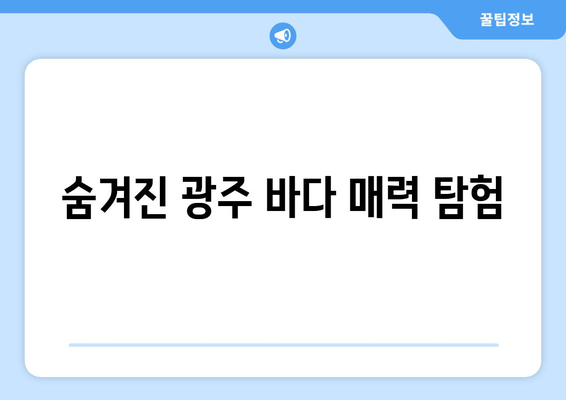 숨겨진 광주 바다 매력 탐험