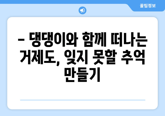 반려견과 함께 떠나는 거제도 여행| 🐶🐾 애견 동반 펜션 추천 & 가이드 | 거제도, 애견펜션, 강아지 여행, 반려동물 숙소