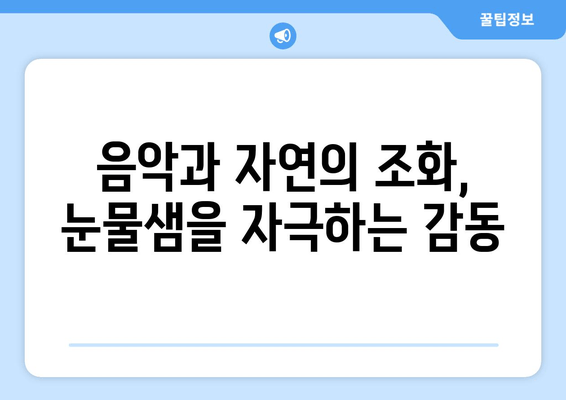 애타게 기다린 감동, 피아노의 숲 극장판 리뷰 | 애니메이션, 감동, 음악, 숲