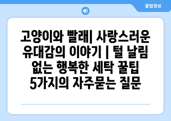 고양이와 빨래| 사랑스러운 유대감의 이야기 | 털 날림 없는 행복한 세탁 꿀팁 5가지