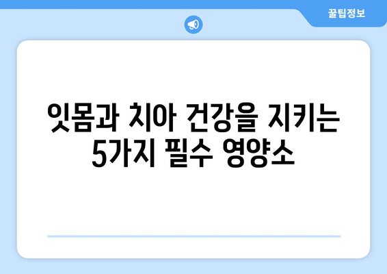 잇몸과 치아 건강을 위한 최고의 영양제 5가지 | 잇몸 건강, 치아 건강, 영양제 추천, 건강 관리