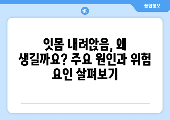 잇몸 내려앉음, 원인과 예방 방법 완벽 가이드 | 잇몸 건강, 치주 질환, 치과 상담