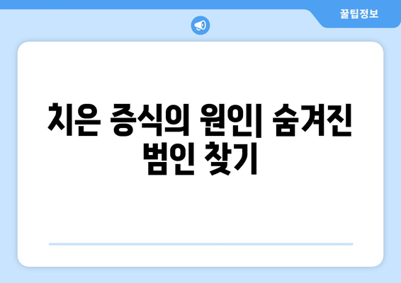 치은 증식, 치료적 개입과 미래 전망| 원인, 치료법, 예방까지 | 치주 질환, 치은염, 잇몸 질환, 치과 치료