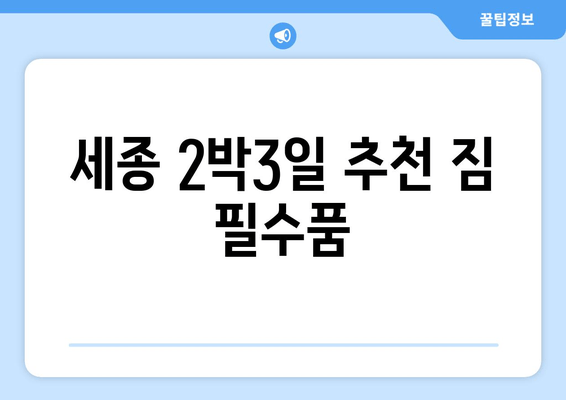 세종 2박3일 추천 짐 필수품