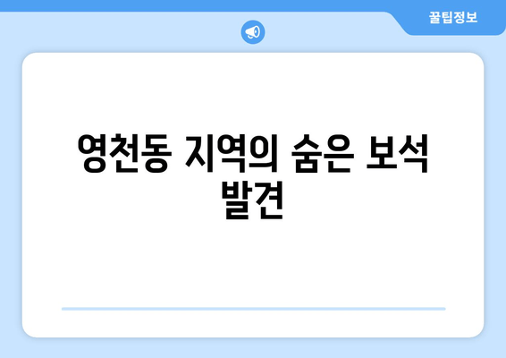 영천동 지역의 숨은 보석 발견