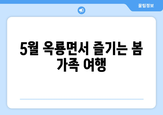 5월 옥룡면서 즐기는 봄 가족 여행