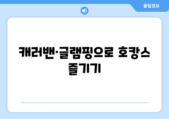 캐러밴·글램핑으로 호캉스 즐기기